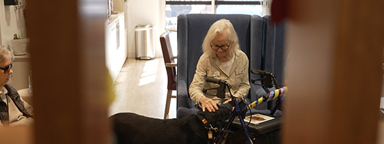 Woman patting dog